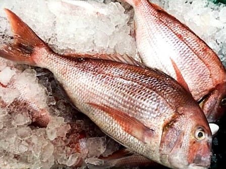 Pargo